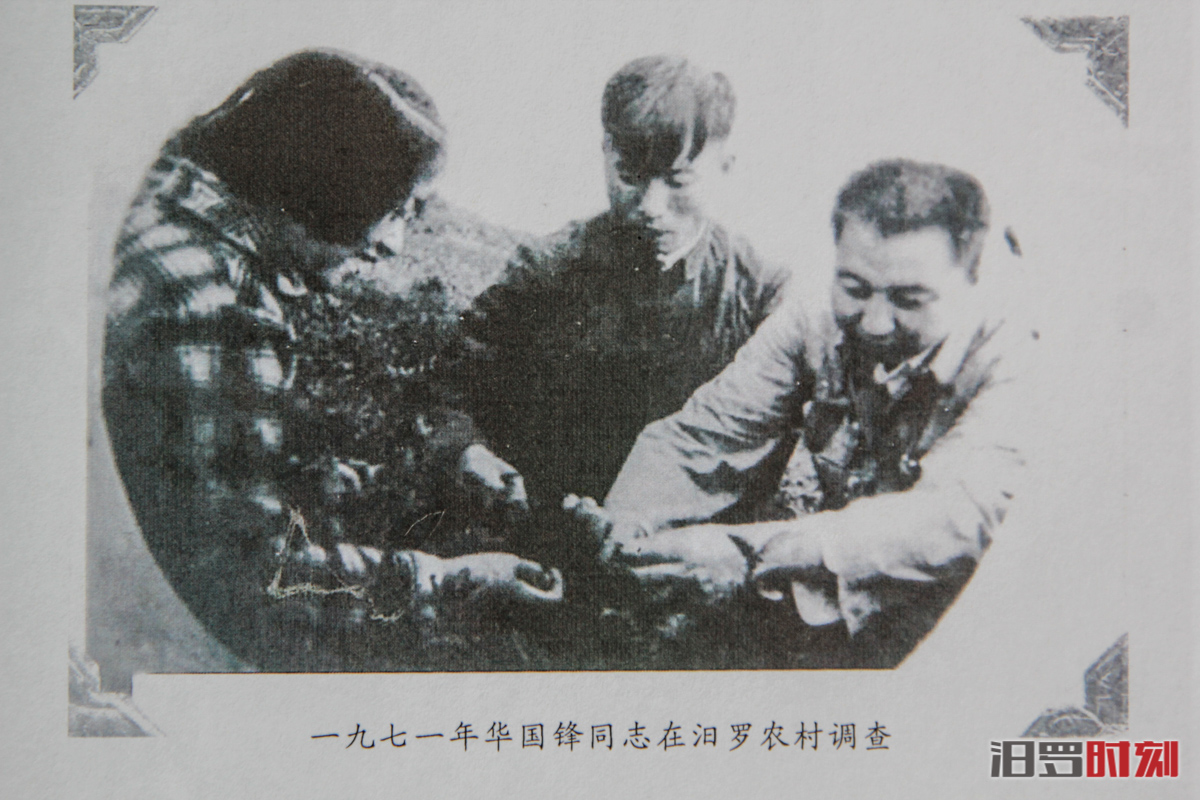 1971????????????.jpg