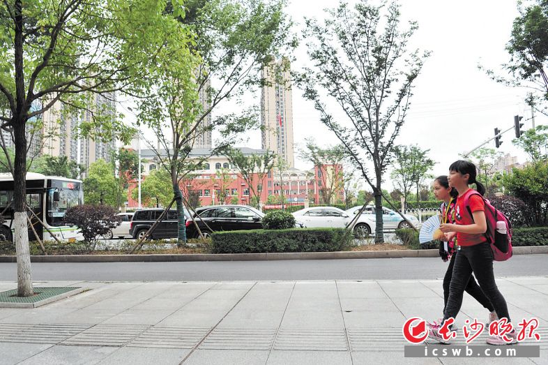 　　一声哨响，人行天桥将在此处飞架，师生从对面的学校过马路将安全又便捷小刘军 摄