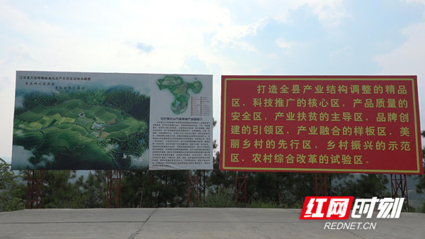 江华万亩现代农业产业园观景台旁的宣传标语。.jpg