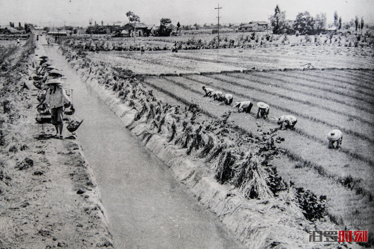_MG_1962.jpg