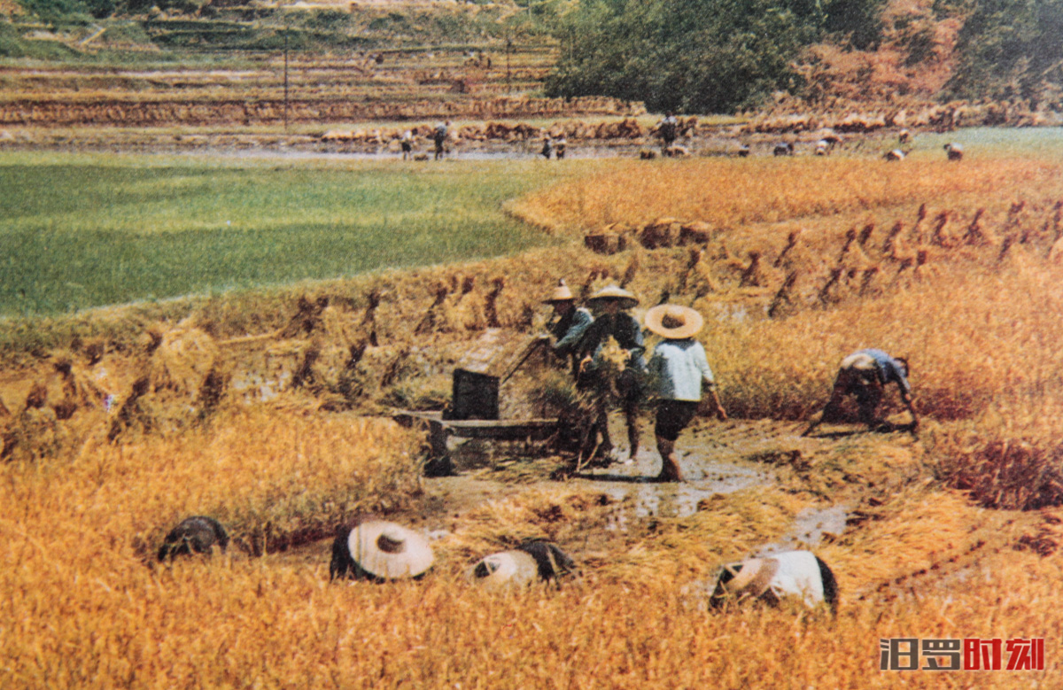 _MG_1963.jpg