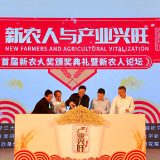 拼多多拟发行8.75亿美元可转债 将继续重投农产品上行等项目