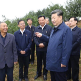 农民丰收节，且听田间习语话农桑