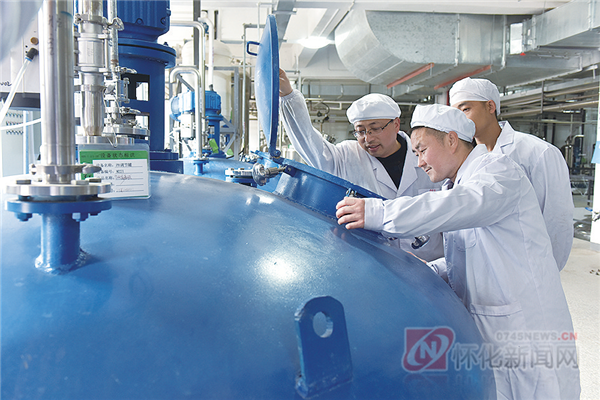 湖南正清制药集团青藤碱项目工作人员在车间检查作业