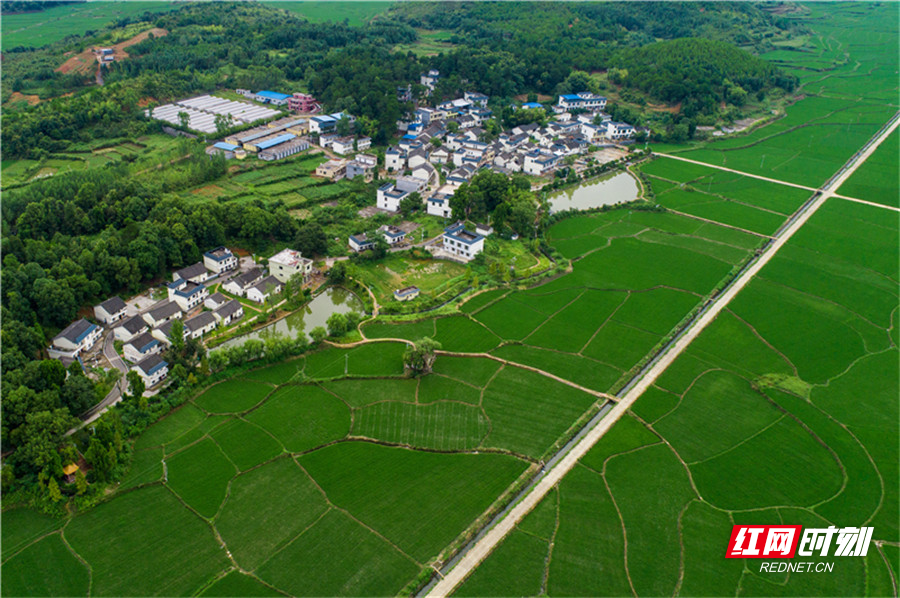 桂阳县仁义镇白云村（欧阳常海 摄）_副本.jpg