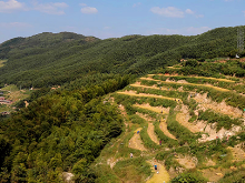 耒阳：高山认养扶贫结硕果 69户贫困户均增收4000多元