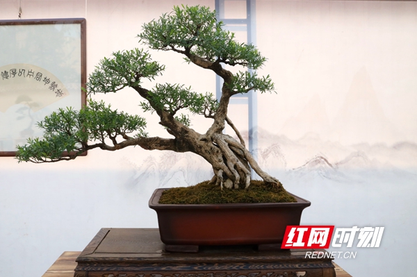 微信图片_20190926192259.jpg