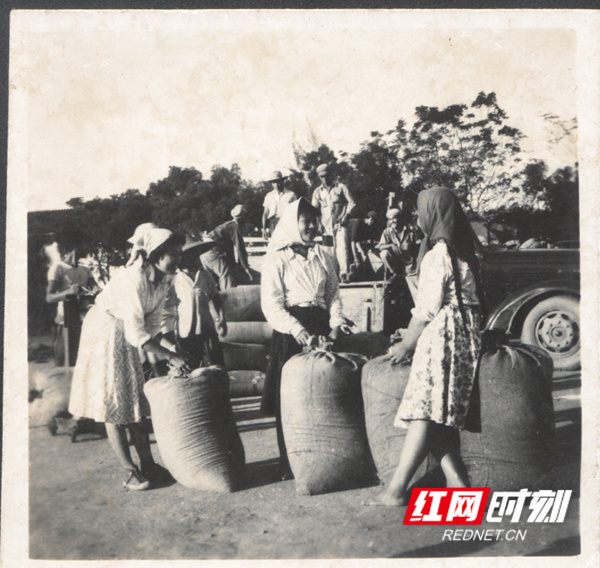 ?5????????????????????????_??.jpg ?5????????????????????????_??.jpg