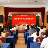 湖南省中药产业链发展论坛在长沙举行