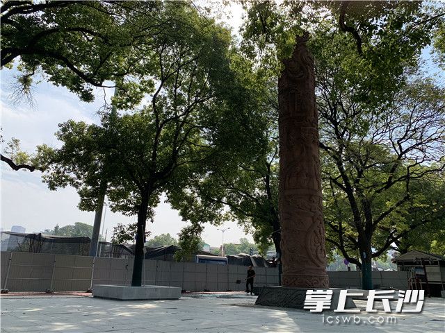 在景观恢复施工中，湘江东岸风光带风貌焕然一新。