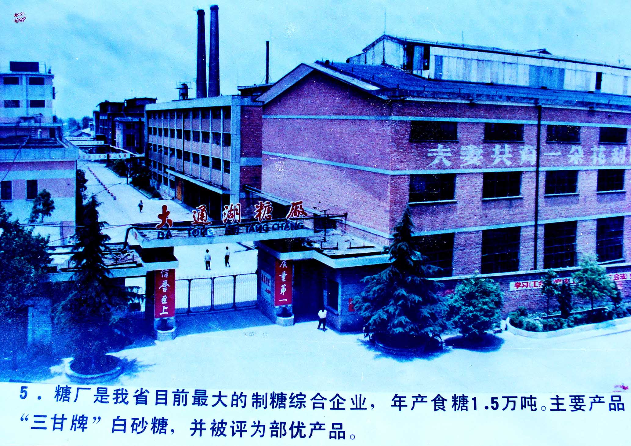 老农垦最怀念从农场分家最后搬迁到了益阳市的滨湖柴油机厂，是农垦工业制造的第一个辉煌。