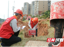 长株潭“三干”快捷化改造现场防电力外破