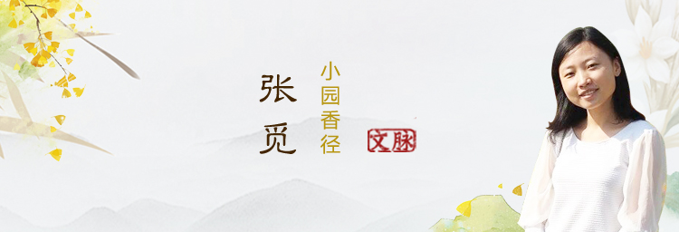 19151426tvdw.jpg 19151426tvdw.jpg