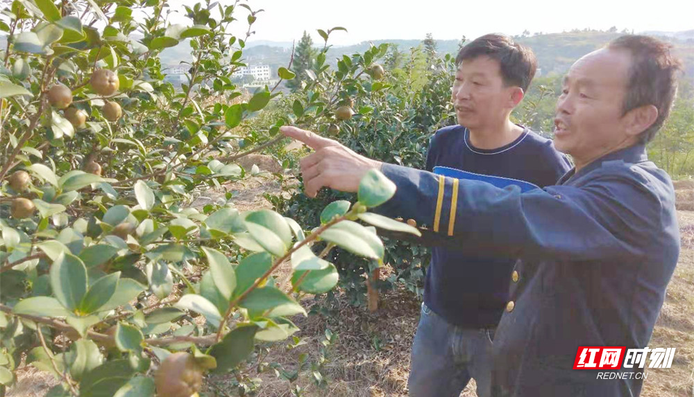 微信图片_20190929054909.jpg
