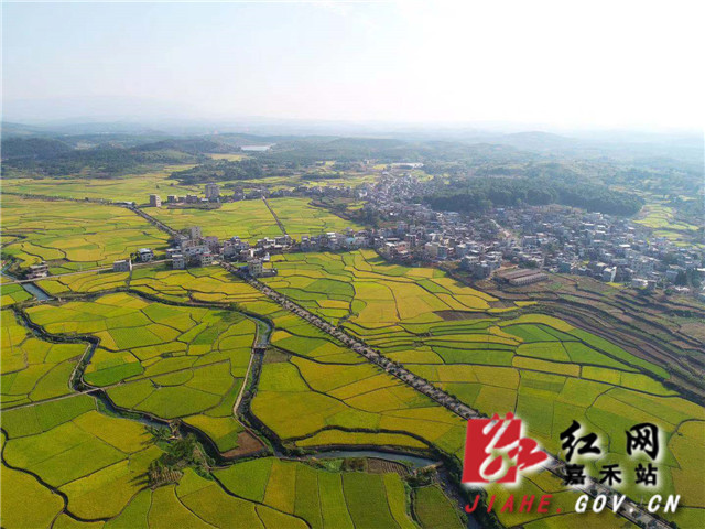 微信图片_20190929104217.jpg