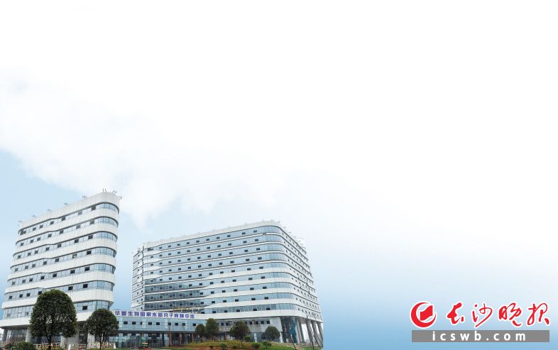 　　↓“雄鹰”振翅,打造种业“中国芯”。华智水稻分子育种中心未来将为我国种业研发提供生物育种核心技术支撑。 邹麟 摄