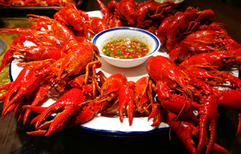 蟹肥虾美度假期 警惕创伤弧菌来偷袭