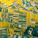 太行山下秋稻香