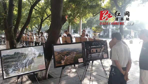 市民观看红色摄影展.gif