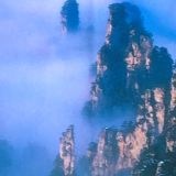 老博物馆｜吴冠中和张家界，情谊不只“养在深闺人未识”