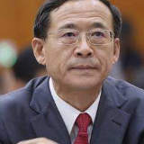 刘士余受到留党察看二年、政务撤职处分