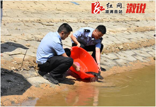 QQ??20191008165625.jpg