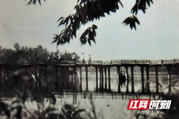 上世纪70年代滨湖公园栈桥