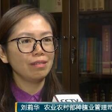 农业农村部：今年粮食产量有望稳定在13000亿斤以上