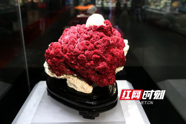 在省地质博物馆举行的“探寻红宝藏，献礼新时代——庆祝中华人民共和国成立70周年特展“，集中展示了70件珍贵美丽的红色矿晶及宝石。.jpg