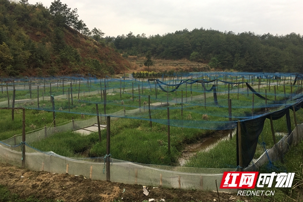 ????_20191009165932.jpg ????_20191009165932.jpg