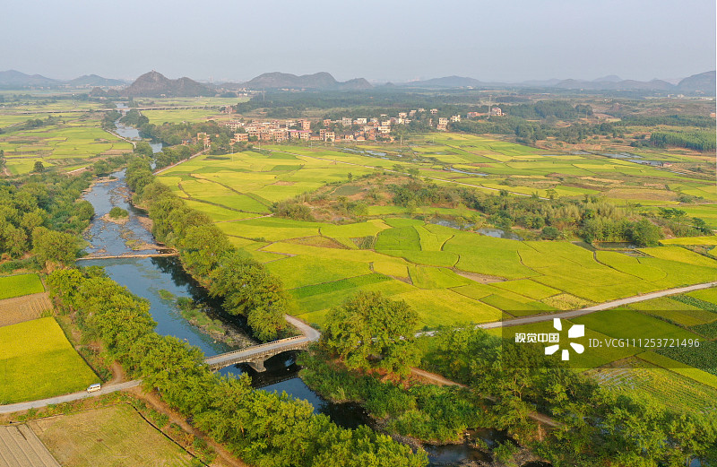 2019年10月9日，湖南永州，道县清塘镇濂溪大洞，金黄的稻田与高速公路相互交织，绘出一幅美丽的丰收画卷。