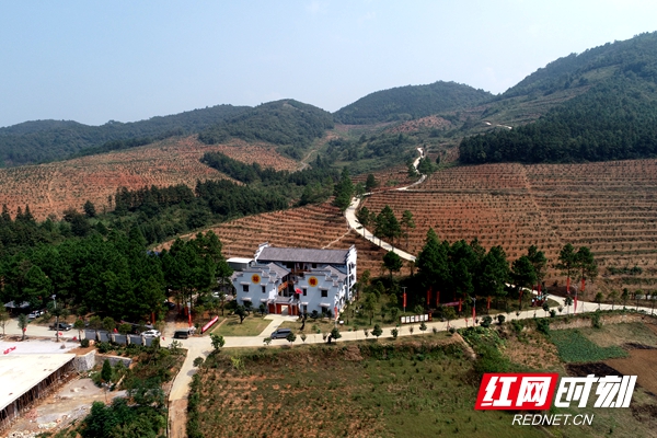 ????_20191010105111.jpg ????_20191010105111.jpg