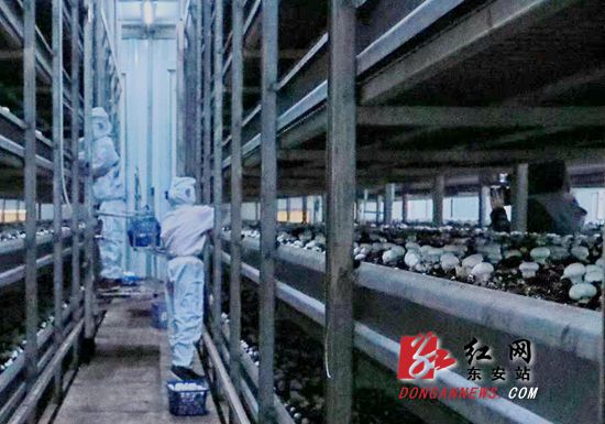 微信图片_20180626142924_看图王_副本_副本.jpg