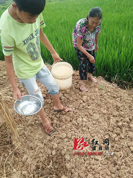 学生利用假期给老人浇水种菜.gif 学生利用假期给老人浇水种菜.gif