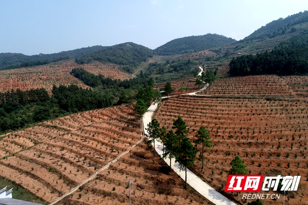 ????_20191010105017.jpg ????_20191010105017.jpg