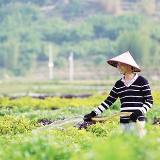 李微微赴凤凰县就政协委员助推产业扶贫等进行调研