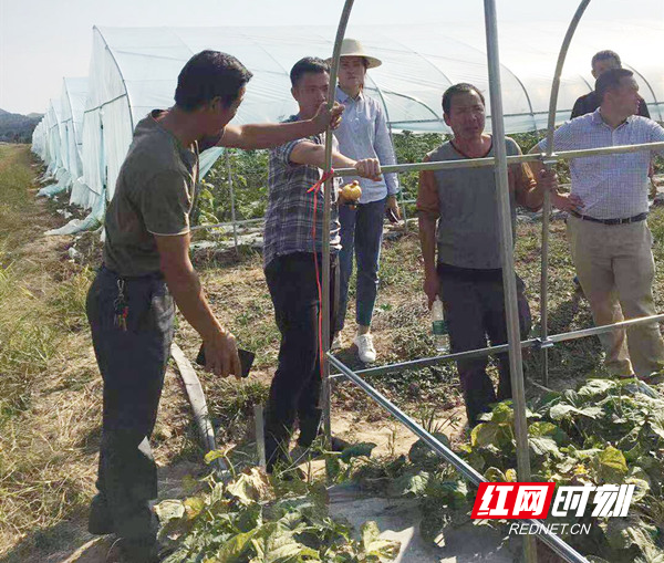 杨建军（左一）与基地职工交流.jpg