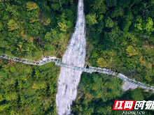 郴州九龙江入选全国森林康养基地试点建设单位