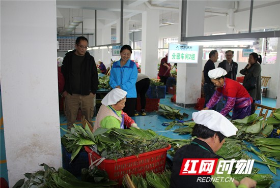 民盟张家界市委赴桑植县开展脱贫攻坚民主监督