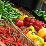 统计局：9月CPI同比上涨3.0% 食品价格上涨11.2%