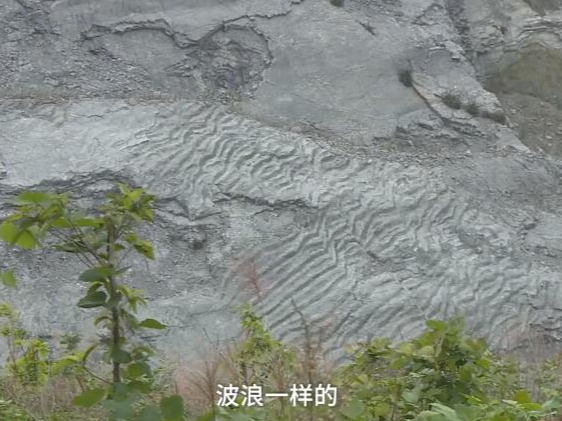 2.5亿年前，重庆竟是一片汪洋大海