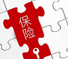 中国人寿推出国寿鑫享至尊年金保险（庆典版）