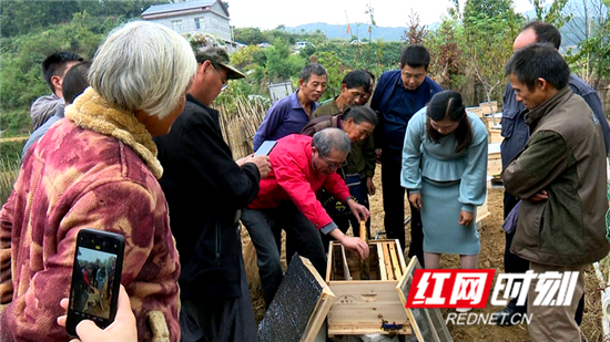 省社会主义学院：农业技术下乡 助力乡村振兴