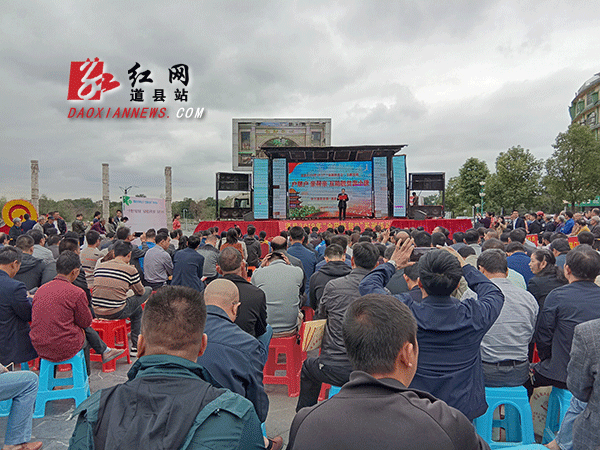 活动现场.gif