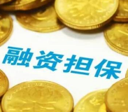 湖南省中小担保公司支持56家企业进入省上市后备企业资源库