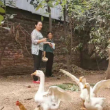 双峰：消费扶贫助力贫困户家门口变现