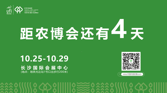 倒计时04天.jpg