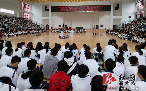 培训活动现场.jpg 培训活动现场.jpg
