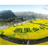 “再生稻”飘香湖南生态农业
