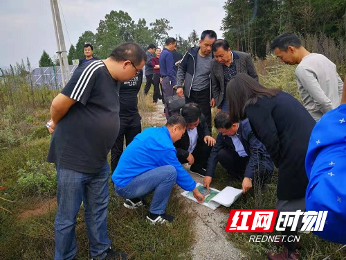 优化营商环境 推进招商项目落地建设